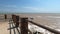 The European herring gull, Seagull on the beach pier railing.