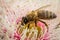 European Honey Bee Feeding on Bright Pink Eucalyptus Flowers, Sunbury, Victoria, Australia, October 2017