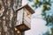 European Hornets Have Occupied Whole Birdhouse With Their Nest