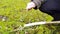 European man whittling a stick with a sharp knife in slow motion as outdoor adventure in a forest in winter hiking tour outdoors