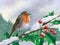 European robin perched on a branch in a snowy landscape