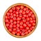 European rowan fruits in wooden bowl