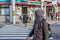 European tourist crossing road. Walking around Kyoto at sunny winter day.