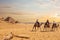 European tourists riding camels near the Pyramids of Egypt