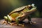 European tree frog, Hyla arborea isolated on solid colour background. ai generative