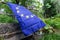 European Union EU flag in forest nature outdoor tree, czech german border