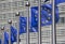 European Union Flags in Brussels