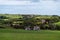 A European village among green fields and trees. Farmhouses in Ireland. Picturesque agricultural landscape. Green fields under a