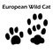 European Wild Cat Footprint