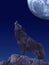 European Wolf, canis lupus, Adult Baying at the Moon