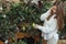 European woman check riping lemons on te tree in greenhouse