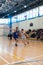 European youth basketball league