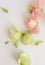 Eustoma fresh flowers flat lay, tender pastel floral photography background