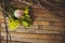 Eustoma and rose lying on a wooden board