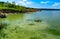 Eutrophication of the Khadzhibey estuary, blooms in the water of the blue-green algae Microcystis aeruginosa