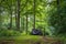 An EV, electric vehicle, parked in an amazing lush green forest in Soderasen national park, Scania southern Sweden