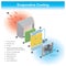 Evaporative Cooling. Info graphic illustration.