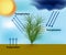 Evapotranspiration and the Water Cycle. Precipitation, evaporation and transpiration