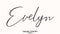Evelyn Woman\\\'s Name. Typescript Handwritten Lettering Calligraphy Text