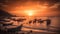 Evening beach sunset with a beautiful sky, calm sea, and sailing boat at fisherman beach area