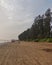 Evening at beautiful beach having tall trees