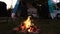 Evening bonfire close-up on the background of a motorhome. The dog is sitting near the fire