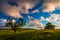 Evening clouds over trees in Big Meadows, Shenandoah National Park