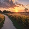 Evening, Colorful sunset sky background in Golden Sky Hour with Romantic Orange, Yellow sunlight clouds Summer season