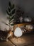 Evening cozy interior of the living room - paper lamp, ginger domestic cat, ficus in a basket, oak bench with decor