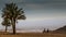 Evening desert landscape with palm trees and two bedouins on cam