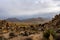 Evening Falls Over a Valley Filled with Joshua Trees