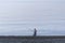 Evening fishing on the beach of calm sea