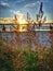 Evening grass against the sea at sunset