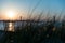 Evening on Gravesend Bay