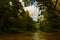 Evening landscape of forests and mesh. Kinabatangan river, rainforest of Borneo island, Sabah Malaysia