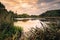 evening landscape. view from the shore through a thick reed to a marshy lake with water and the opposite wooded coast under a