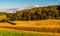 Evening light on farm fields in rural York County, Pennsylvania.