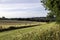 Evening light over the cultural landscape Gulpen, South Limburg, the Netherlands