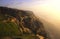 Evening light at the Pacific Coast in San Diego