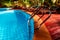 Evening lighting near the pool with tropical flora