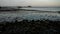 Evening lights on Calf Pasture beach with fishing pier on distance and sea weeds on front