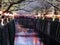 Evening lights on Meguro river during cherry blossom festival