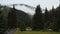 Evening mountains panorama with the horses grazing at the forest lawn