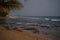 Evening ocean, beach and palm trees