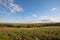 Evening in a prairie