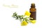 Evening primrose oil, flowers and a bottle, isolated on white