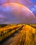 Evening rainbow over the marshlands