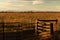 Evening at the ranch, gate into the pasture