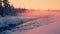 Evening Rose Mist over the Snow-Covered Forest and a River