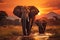 Evening scene elephants crossing Olifant River in Amboseli National Park